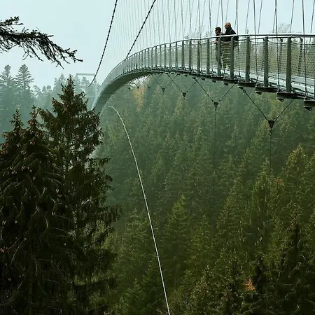 Nina Direkt In Zentrum Apartment Bad Wildbad