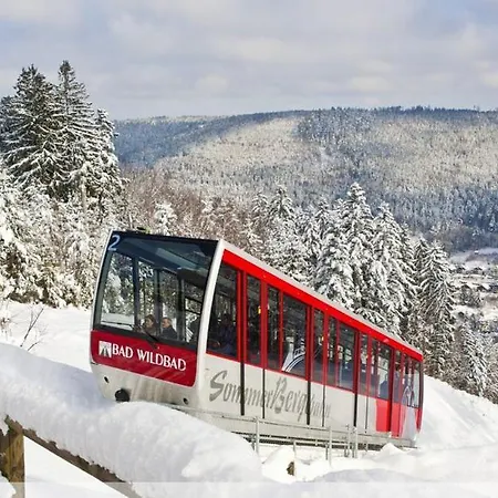 Nina Direkt In Zentrum * Bad Wildbad